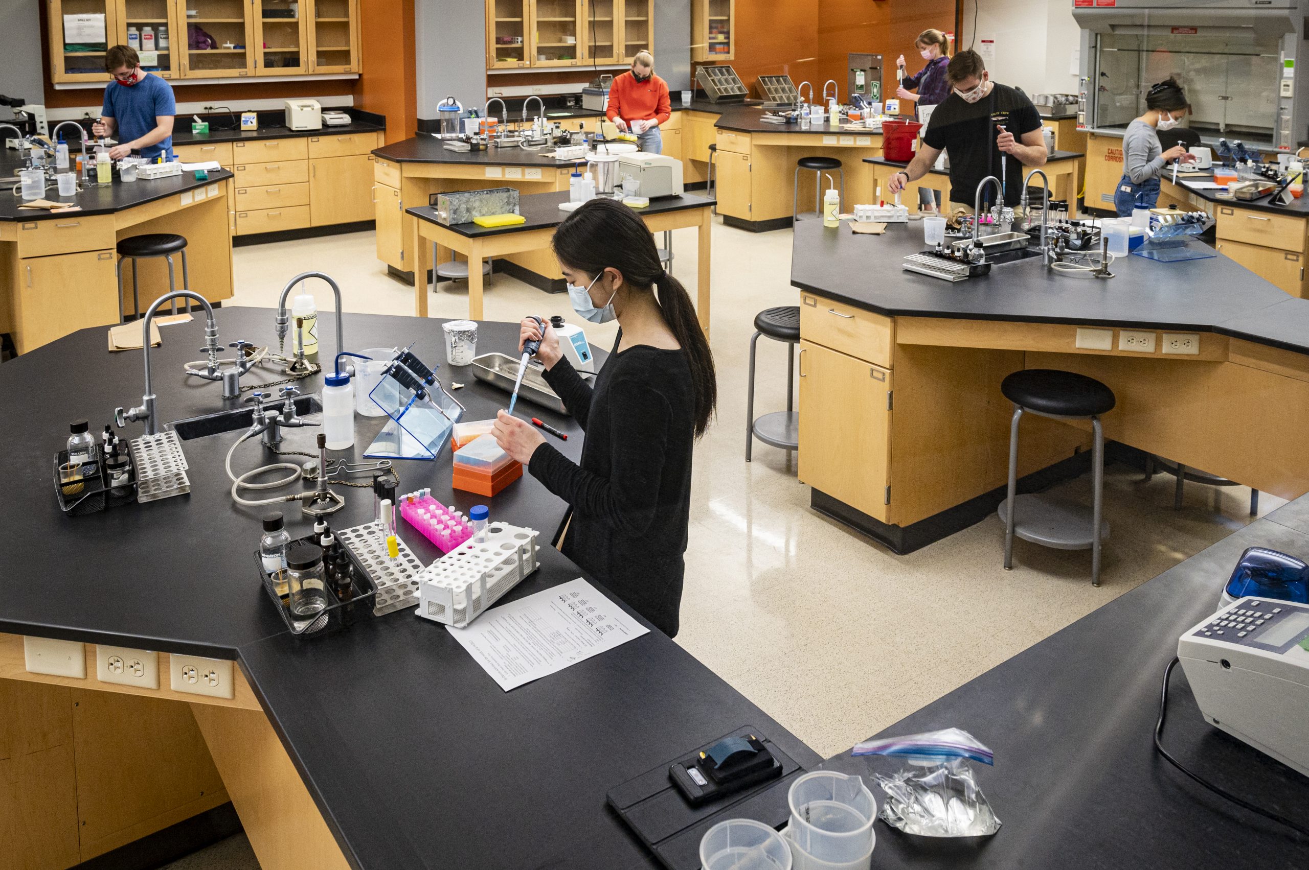 Students in microbiology lab