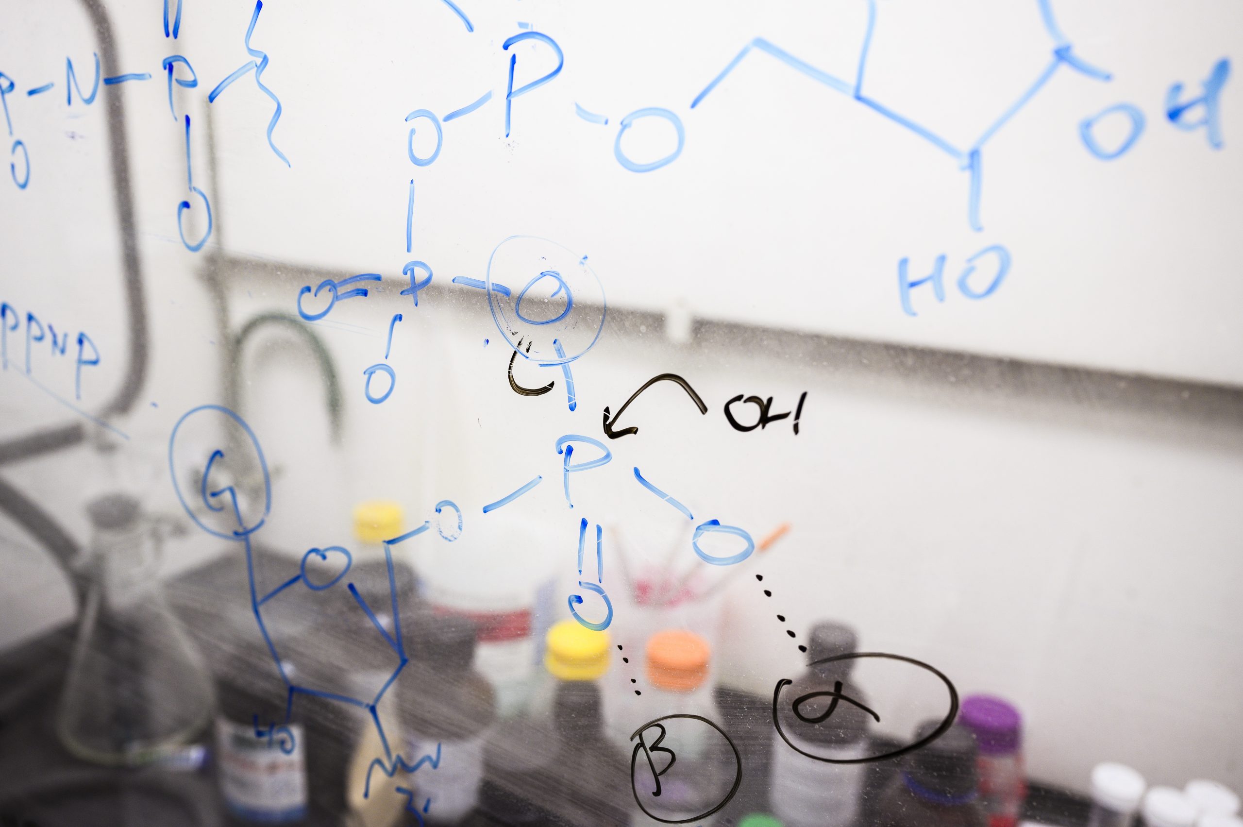 Chemical equations on fume hood